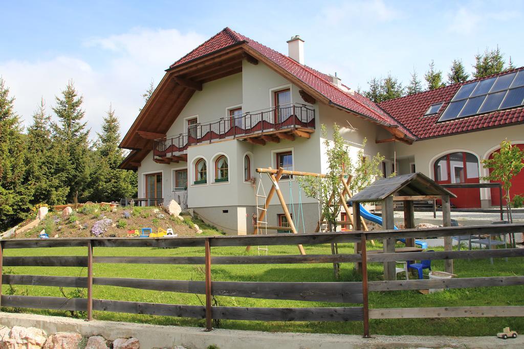 Haus Sylvia Apartment Mariapfarr Exterior foto